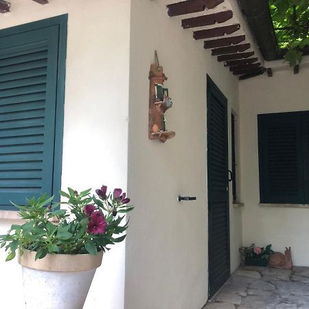B&B Uva Fragola Перуджа Екстериор снимка