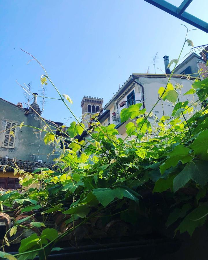 B&B Uva Fragola Перуджа Екстериор снимка