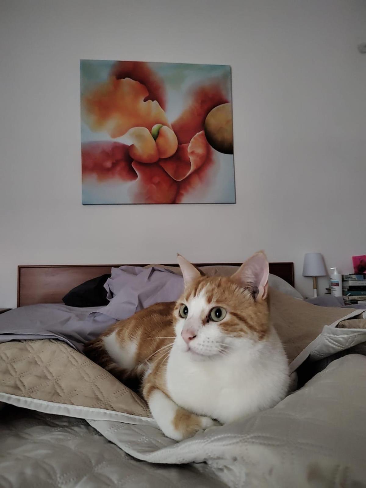 B&B Uva Fragola Перуджа Екстериор снимка